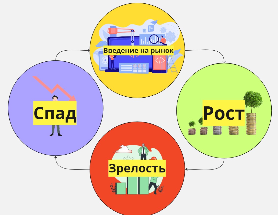 Что такое жизненный цикл продукта