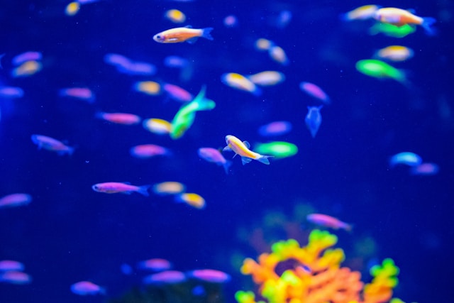 Игра в имитацию: как работают алгоритмы природы?